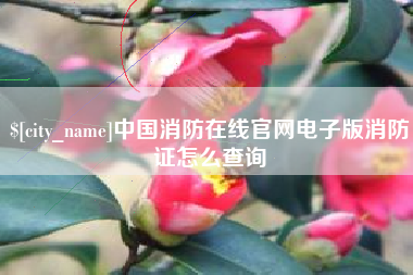 林州中国消防在线官网电子版消防证怎么查询