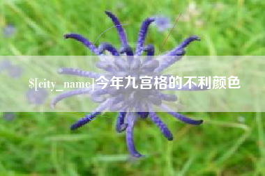 林州今年九宫格的不利颜色