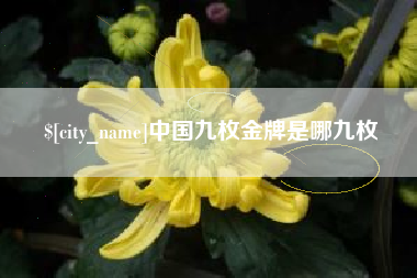 林州中国九枚金牌是哪九枚