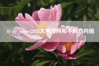 林州2025大利方向和不利方向图