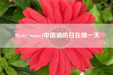 林州中国消防日在哪一天
