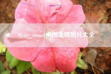 林州中国金牌图片大全