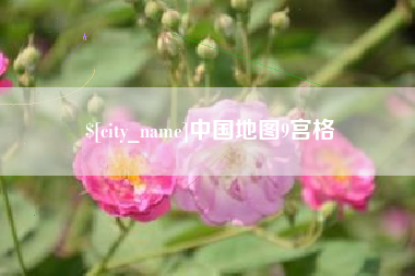 林州中国地图9宫格
