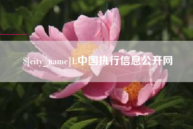 林州1.中国执行信息公开网