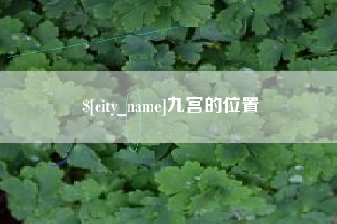 林州九宫的位置