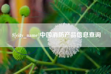 林州中国消防产品信息查询