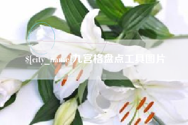 林州九宫格盘点工具图片
