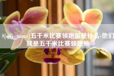 林州五千米比赛领跑员是什么-他们就是五千米比赛领跑员