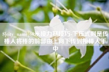 林州60米接力赛技巧-下压式则是传棒人将棒的前部由上向下传到接棒人手中