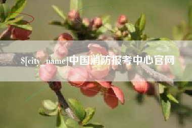 林州中国消防报考中心官网