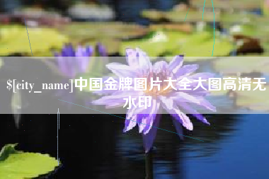 林州中国金牌图片大全大图高清无水印