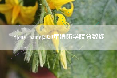 林州2020年消防学院分数线