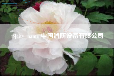 林州中国消防设备有限公司