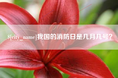 林州我国的消防日是几月几号？