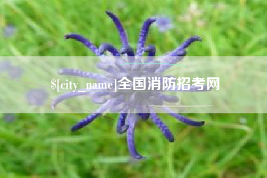 林州全国消防招考网