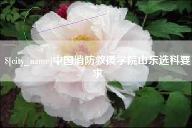 林州中国消防救援学院山东选科要求
