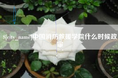 林州中国消防救援学院什么时候政审