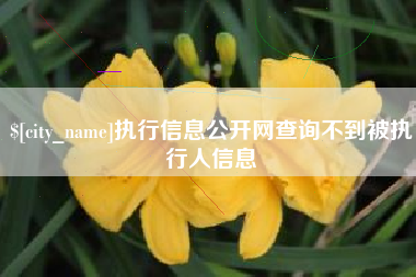 林州执行信息公开网查询不到被执行人信息