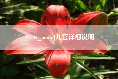 林州九宫详细说明