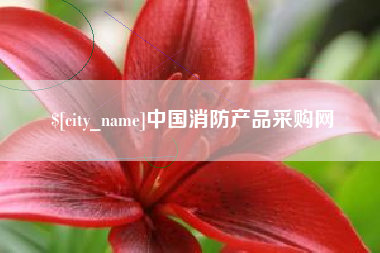 林州中国消防产品采购网