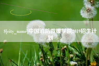 林州中国消防救援学院2019招生计划
