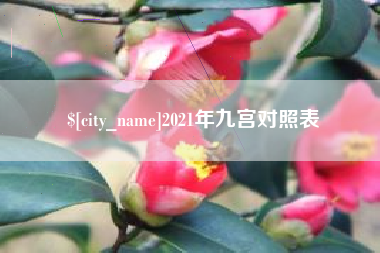 林州2021年九宫对照表