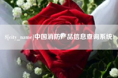林州中国消防产品信息查询系统1