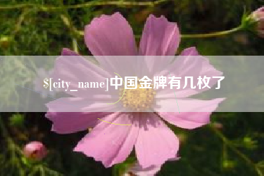 林州中国金牌有几枚了