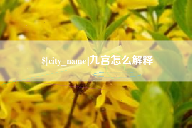 林州九宫怎么解释