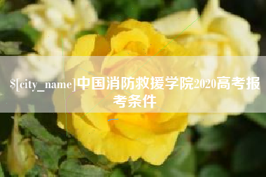 林州中国消防救援学院2020高考报考条件