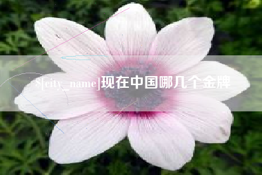 林州现在中国哪几个金牌