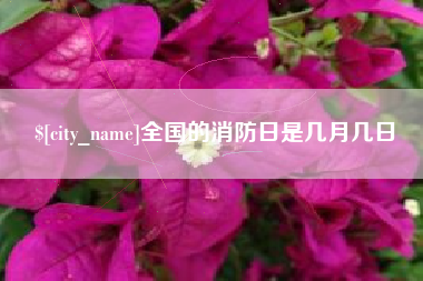 林州全国的消防日是几月几日