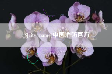 林州中国消防官方