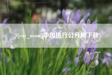 林州中国执行公开网下载