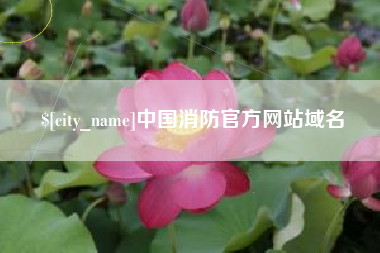 林州中国消防官方网站域名