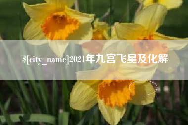 林州2021年九宫飞星及化解