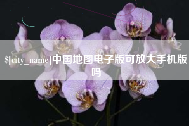 林州中国地图电子版可放大手机版吗