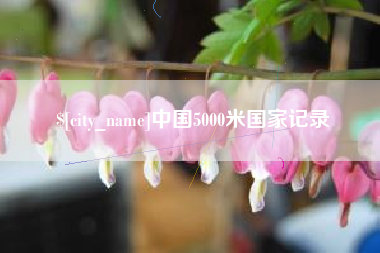 林州中国5000米国家记录