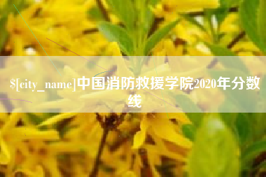林州中国消防救援学院2020年分数线