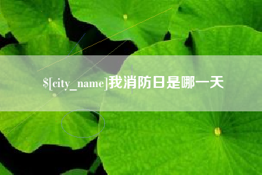 林州我消防日是哪一天