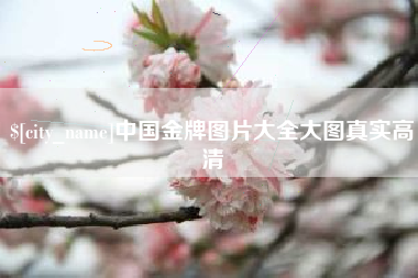林州中国金牌图片大全大图真实高清