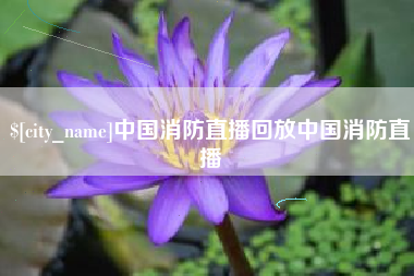 林州中国消防直播回放中国消防直播