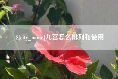 林州九宫怎么排列和使用