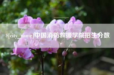 林州中国消防救援学院招生分数