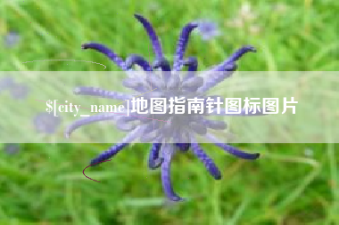 林州地图指南针图标图片