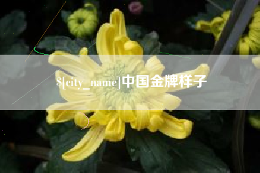 林州中国金牌样子