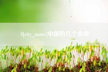 林州中国的几个金牌