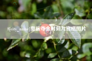 林州奥运夺金时刻九宫格图片