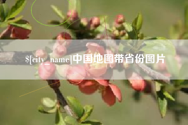 林州中国地图带省份图片