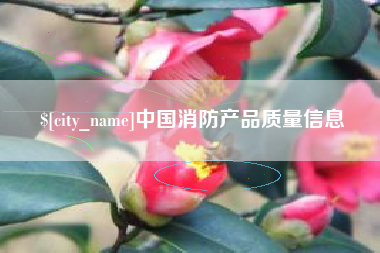 林州中国消防产品质量信息